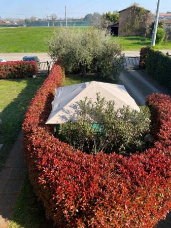 Villa bifamiliare in Via Zoppa 1/F, Imola — foto 2 di 5