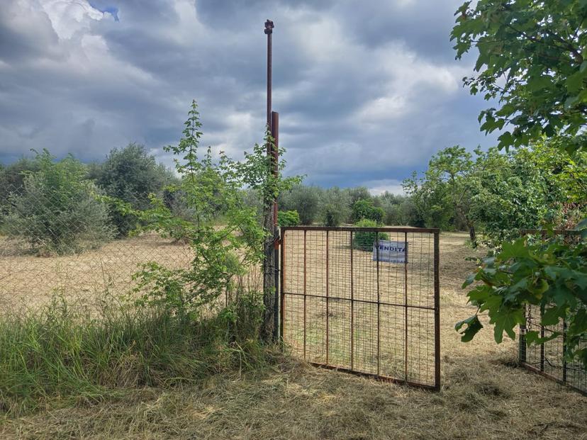 Rustico in Strada di Colle Massimiano, Palombara Sabina — foto 2 di 5