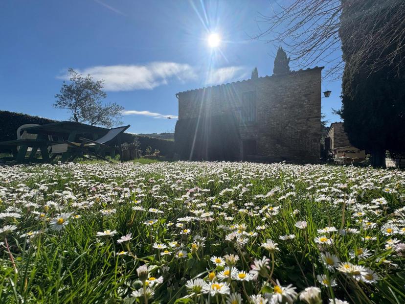 Appartamento in Via Chiantigiana sulla Pesa Snc, San Casciano in Val di Pesa
