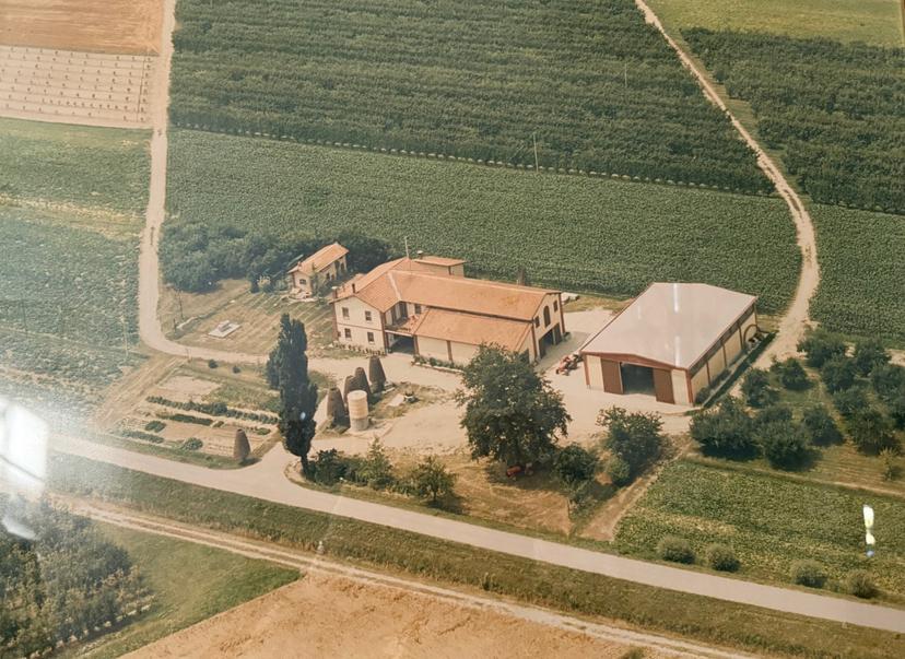 Casa colonica in Via Oriolo 2, Molinella — foto 4 di 5