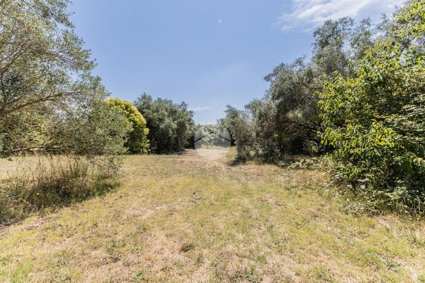 Villa in Via F.Butteri 5, Monterosi — foto 5 di 5