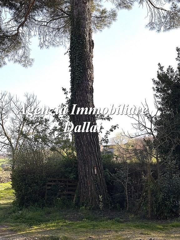 Rustico, Barberino di Mugello — foto 4 di 5