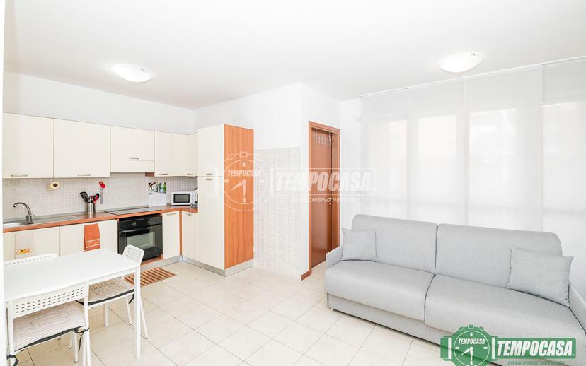 Monolocale in Viale Martesana 111, Vimodrone — foto 3 di 5
