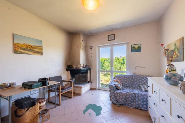 Villa in Strada Ventiquattresima, Labico — foto 4 di 5
