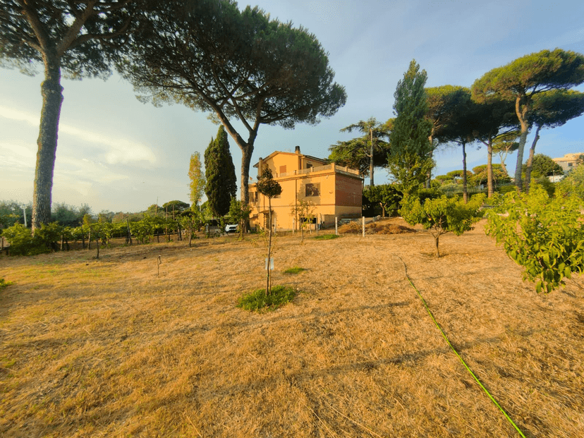 Villa unifamiliare in Via Pietrara, Albano Laziale — foto 4 di 5