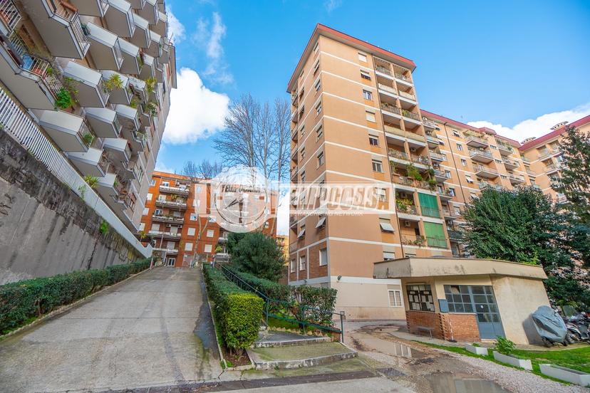 Quadrilocale, Roma
