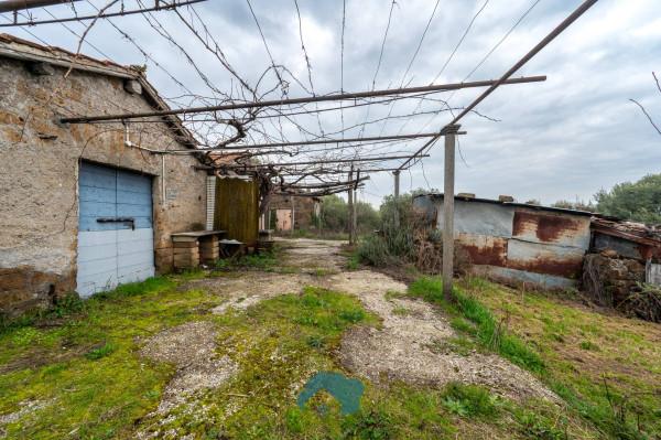 Rustico in Via Colle Caroso, Palestrina — foto 5 di 5
