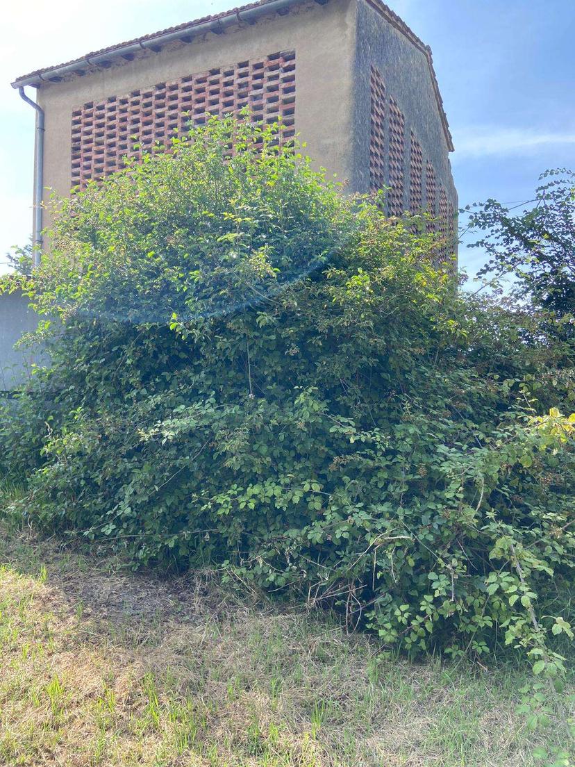 Rustico, Montespertoli — foto 2 di 2
