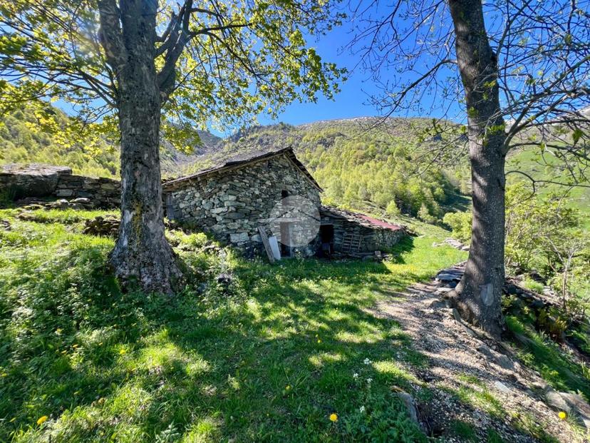 Rustico in Regione Vallorsera - Loc. Malacria 43, Lemie — foto 4 di 5