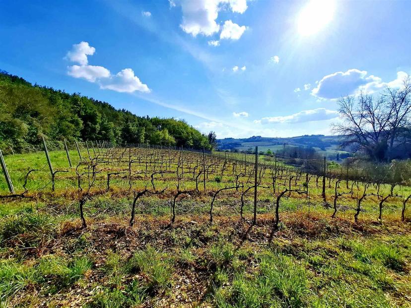 Casale, Montespertoli — foto 4 di 5