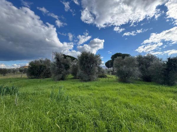 Rustico in Via Colle Pallavicini, Zagarolo — foto 3 di 5