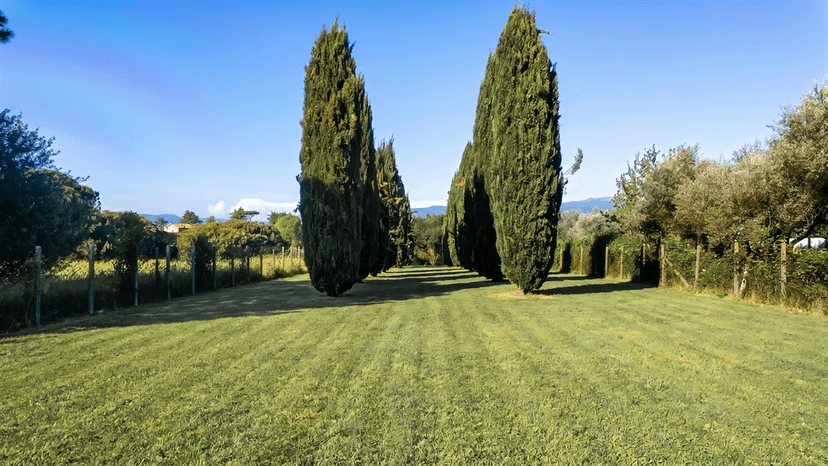 Villa unifamiliare in Via Colle Pallone Vecchio, San Cesareo — foto 5 di 5