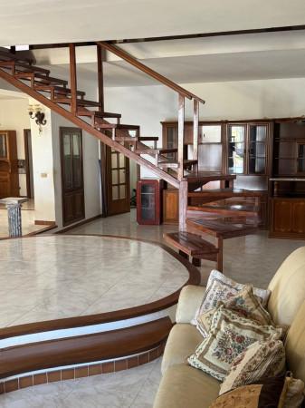 Villa in Via del Beccaccino, Ladispoli — foto 4 di 5