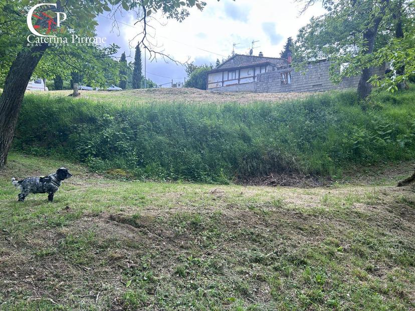 Rustico in Località Caprile Snc, San Godenzo — foto 5 di 5