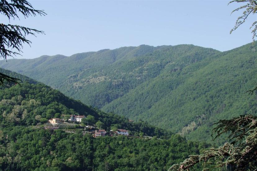 Villa, Londa — foto 2 di 5