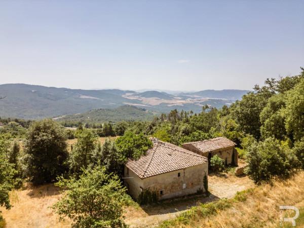 Rustico in Strada Provinciale Volterrana, Gambassi Terme — foto 3 di 5