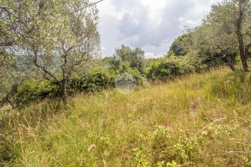 Rustico in Str. di Rotavello, Palombara Sabina — foto 5 di 5