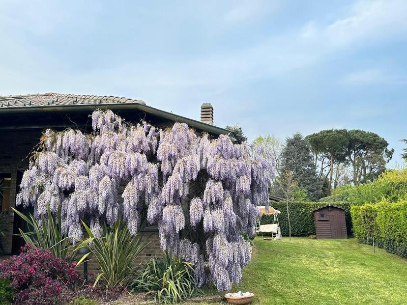 Villa in Via Pini 6, Vizzolo Predabissi — foto 5 di 5