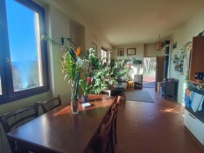 Rustico, Rufina — foto 3 di 5