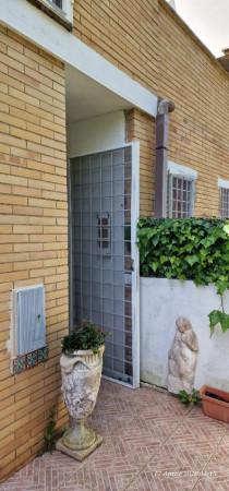 Villa a schiera, Santa Marinella — foto 3 di 5