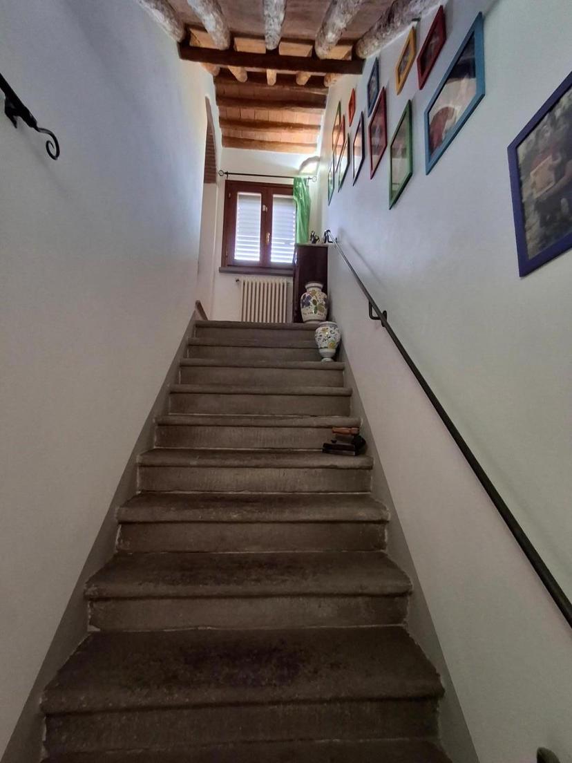 Terratetto, Fucecchio — foto 5 di 5
