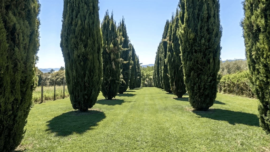 Villa unifamiliare in Via Colle Pallone Vecchio, San Cesareo