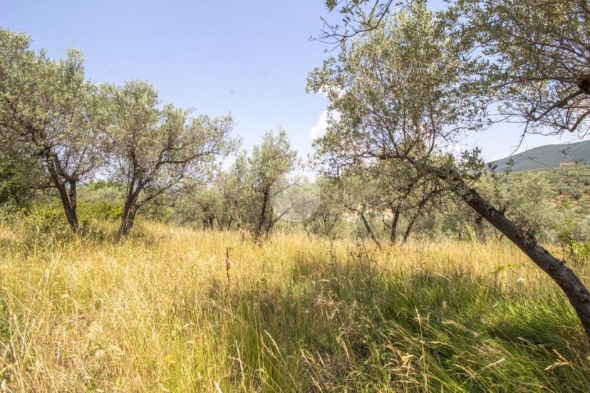 Rustico in Str. di Rotavello, Palombara Sabina — foto 4 di 5