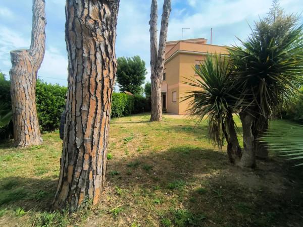 Villa bifamiliare in Via Gabriele d'Annunzio, Ladispoli — foto 5 di 5