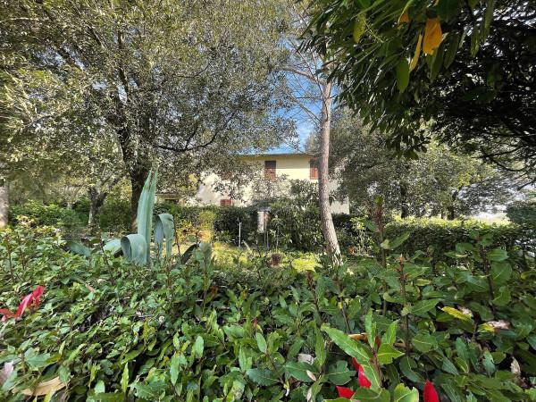 Rustico in Via San Gregorio, Fucecchio — foto 2 di 5