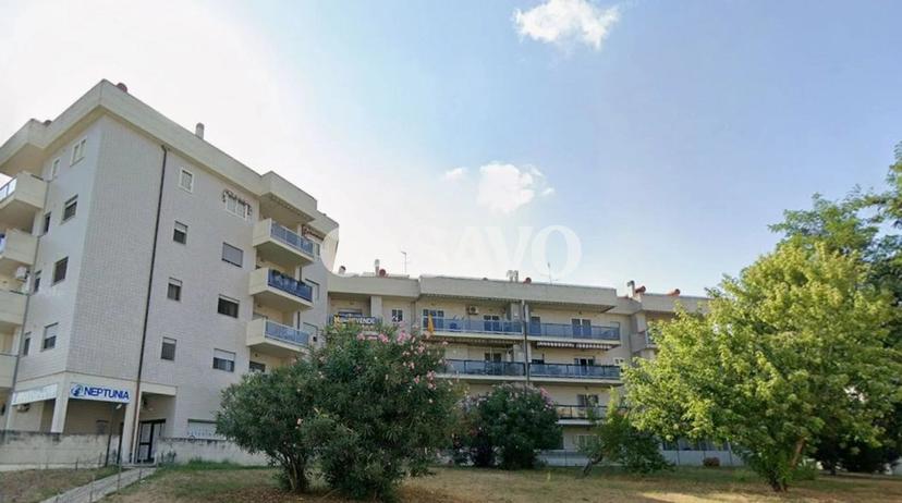 Bilocale, Nettuno