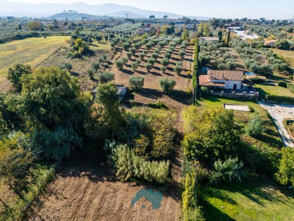 Rustico in Via Colle Moretto, Gallicano nel Lazio — foto 2 di 5