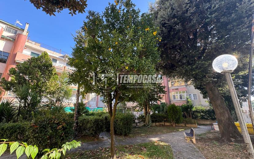 Appartamento in Viale Colli Aminei 491/P.Site, Napoli