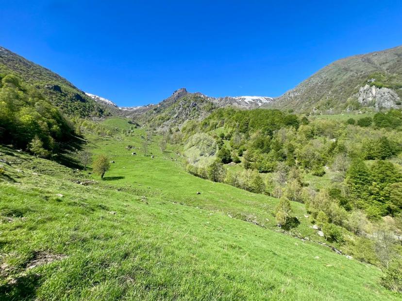 Rustico in Regione Vallorsera - Loc. Malacria 43, Lemie — foto 3 di 5