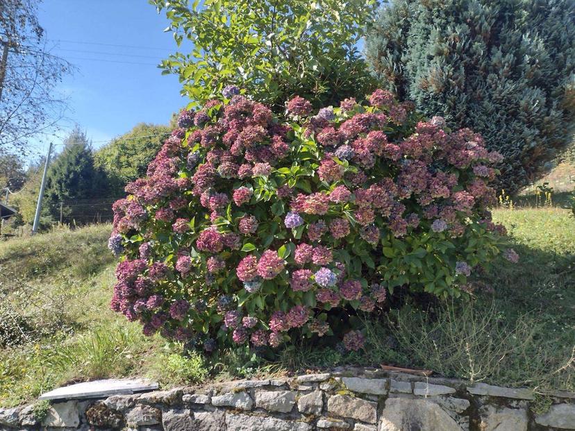 Casa indipendente in Regione Pra di Vico S.N.C., Valchiusa