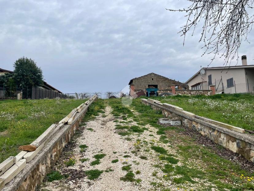 Rustico in Via del Traglione 1, Gallicano nel Lazio