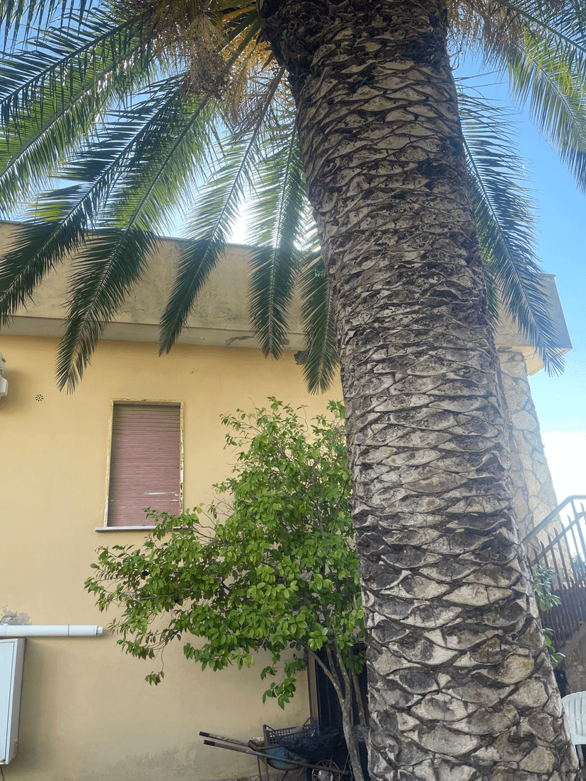 Terratetto in Via Quartarella, Riano — foto 4 di 5