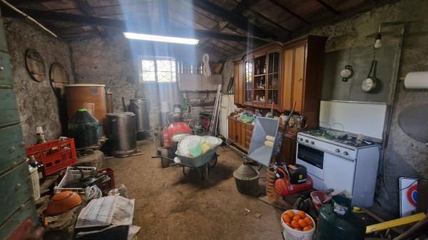Villa in Via della Vetrice, San Cesareo — foto 2 di 5