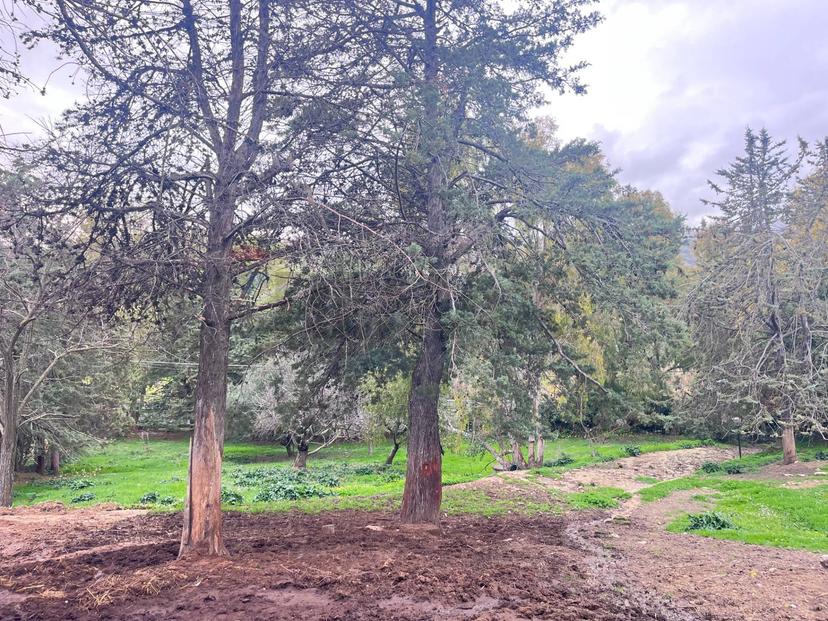 Casa indipendente in Via Furbara Sasso, Cerveteri — foto 2 di 5