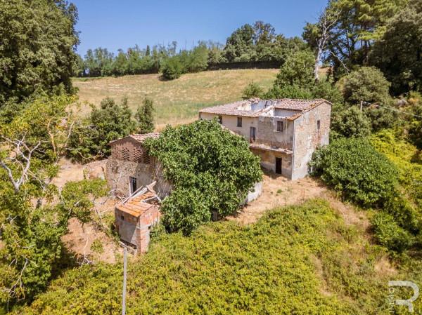 Rustico in Strada Provinciale Volterrana, Gambassi Terme — foto 5 di 5