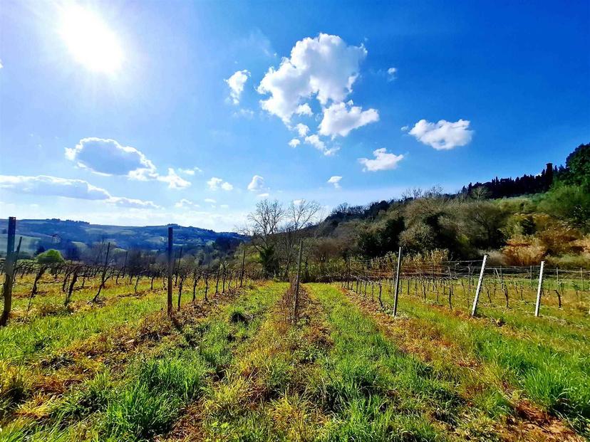 Casale, Montespertoli — foto 3 di 5