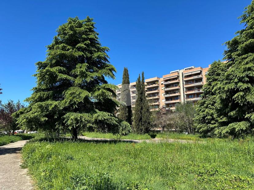 Appartamento in Via Augusto Comte 14, Roma