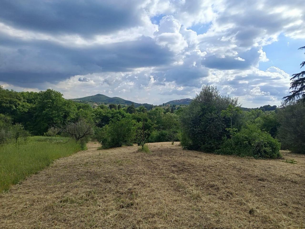 Rustico in Strada di Colle Massimiano, Palombara Sabina