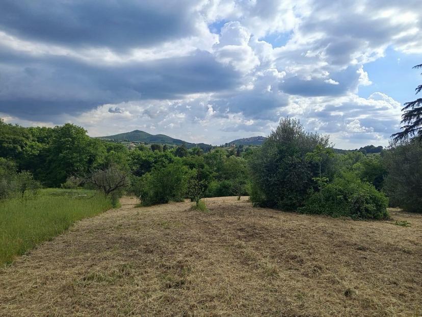 Rustico in Strada di Colle Massimiano, Palombara Sabina