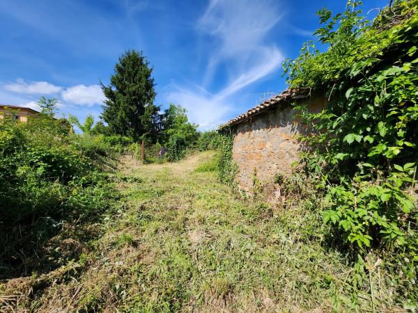 Rustico in Via Cardinal Pietro Parente, San Cesareo