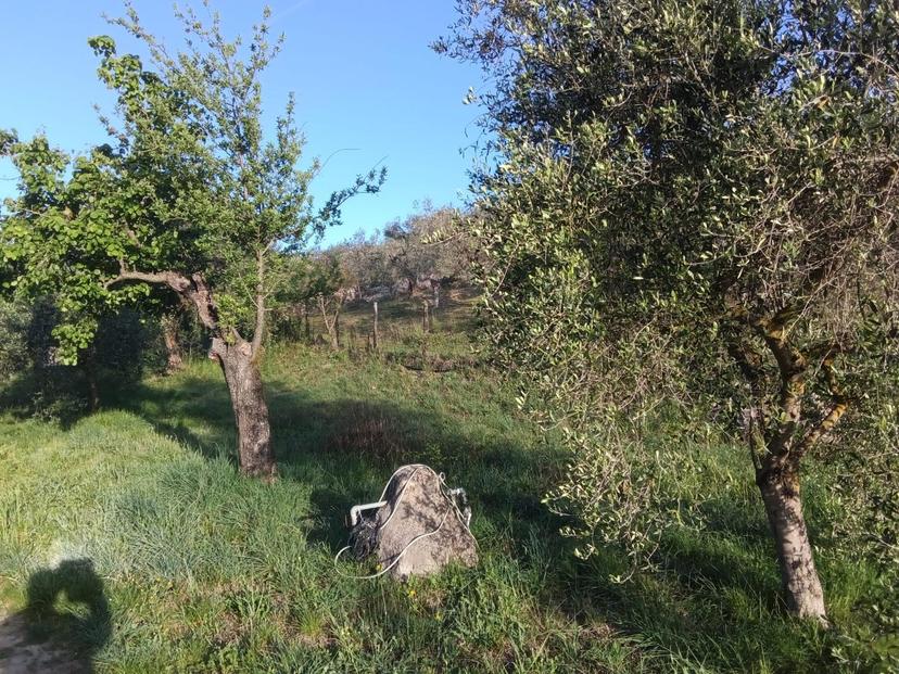 Rustico in Via dei Caolini 334, Marcellina — foto 5 di 5