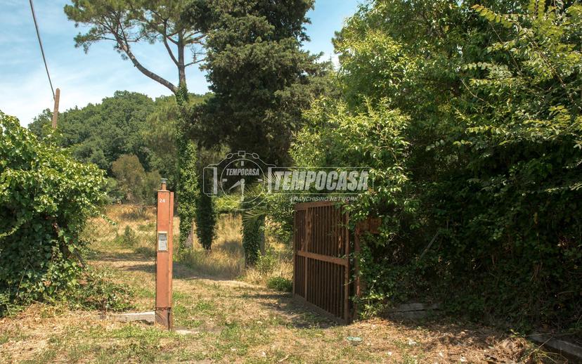 Villa, Fiumicino — foto 3 di 5