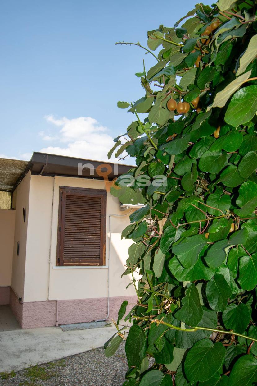 Casa indipendente in Vicolo San Paolo 9, Vanzaghello