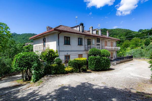 Quadrilocale, Bellegra