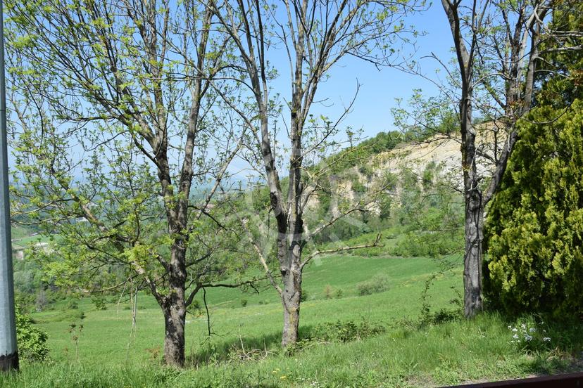 Trilocale, Monterenzio — foto 4 di 5