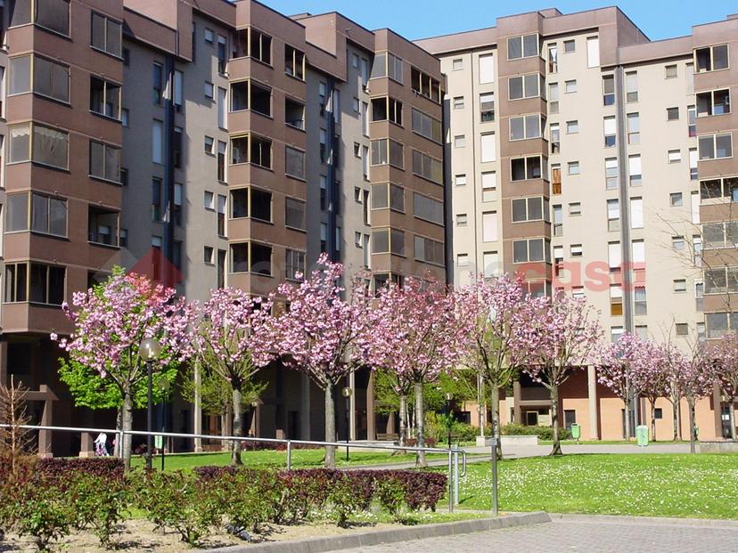 Quadrilocale in Via Aldo Moro  18, Locate di Triulzi — foto 5 di 5